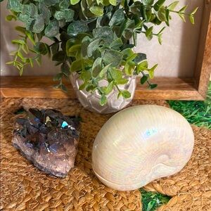 Lenox iridescent pearlized off white Shell jewelry holder catch all